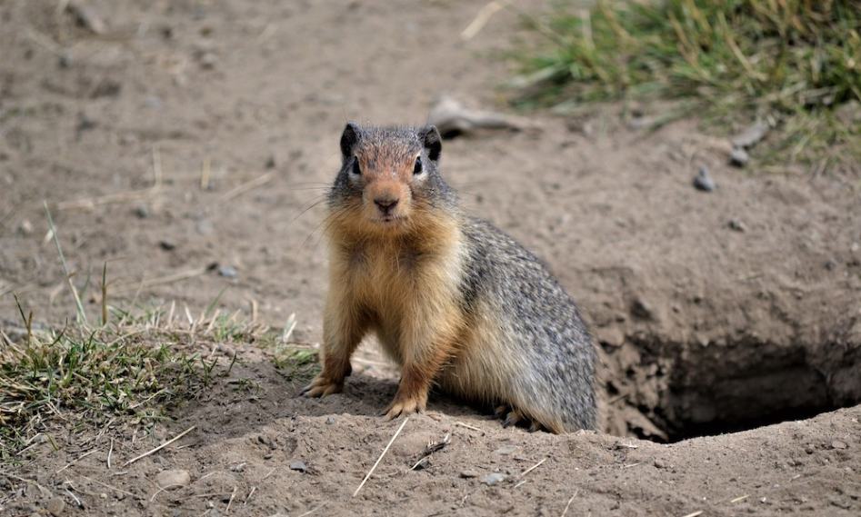 “Ground Hog Day” Technology Oversights